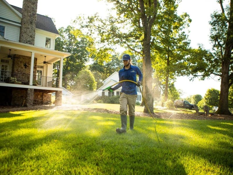 Landscaping Companies & Landscapers