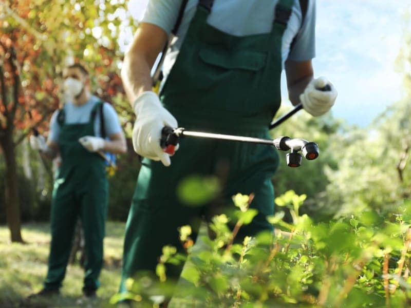 Pest Control Companies & Exterminator Services