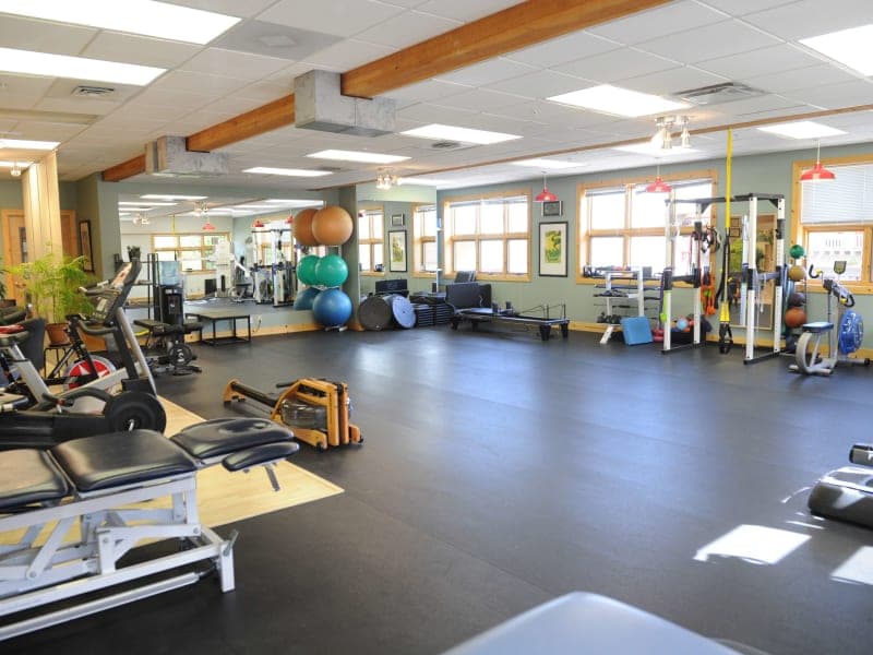 Physical Therapy Clinics and Physical Therapists