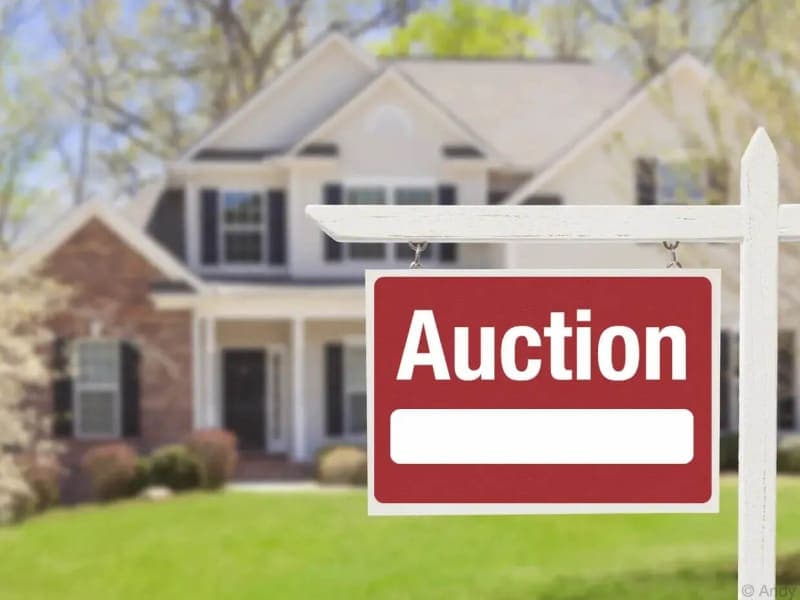 Auction Houses & Real Estate Auction Companies
