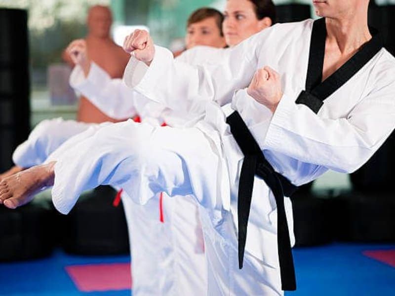 Taekwondo Academies & Martial Arts Schools