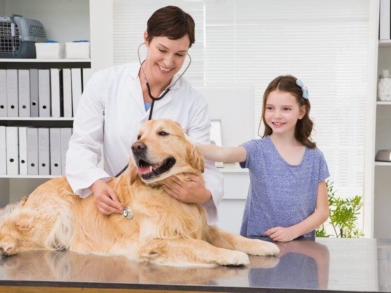 Veterinary Clinics & Animal Hospitals