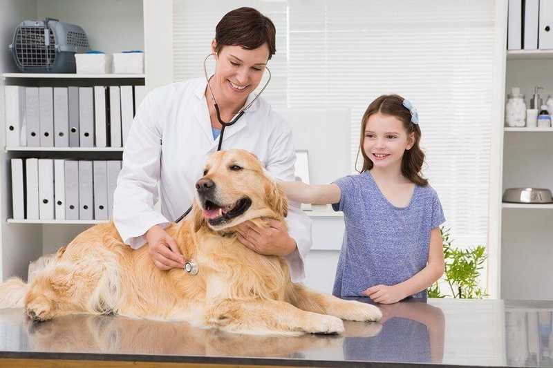 Sacramento Veterinary Clinics & Animal Hospitals
