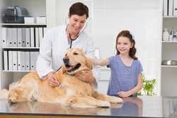 Sacramento Veterinary Clinics & Animal Hospitals