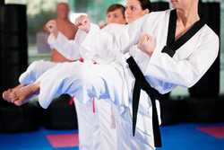 Sacramento Taekwondo Academies & Martial Arts Schools