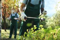 Sacramento Pest Control Companies & Exterminator Services