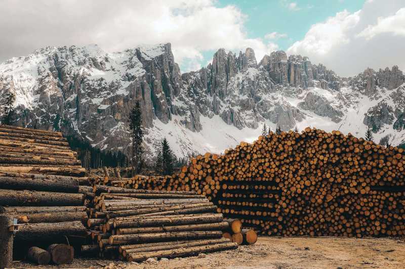 Sacramento Lumber Companies & Building Material Suppliers